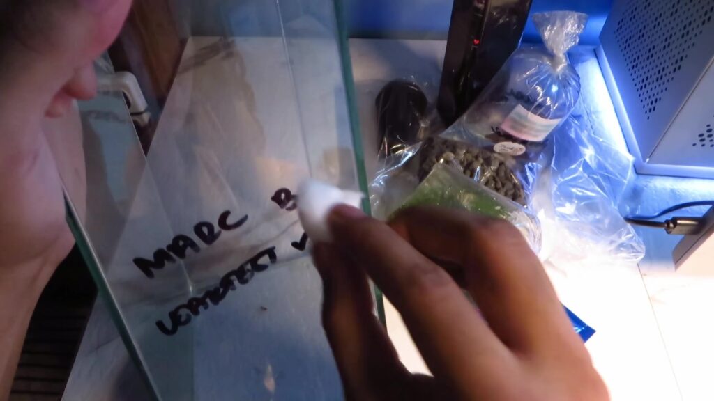 Removing the marker pen writing off the aquarium tank | PetBetta.com